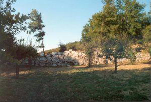 Mura Megalitiche sotti i fossi di Guardea, Monti Amerini