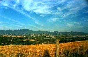 Panorama dalle alture tra Castiglione e Baschi 1989